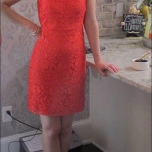 J Crew Collection dress with Overlay